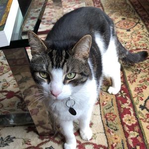 Meet your Posher, Whitney